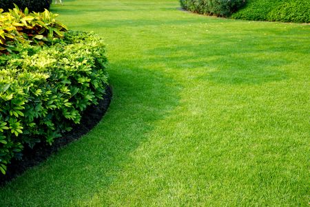 How does a lawn fertilization program help improve overall yard health