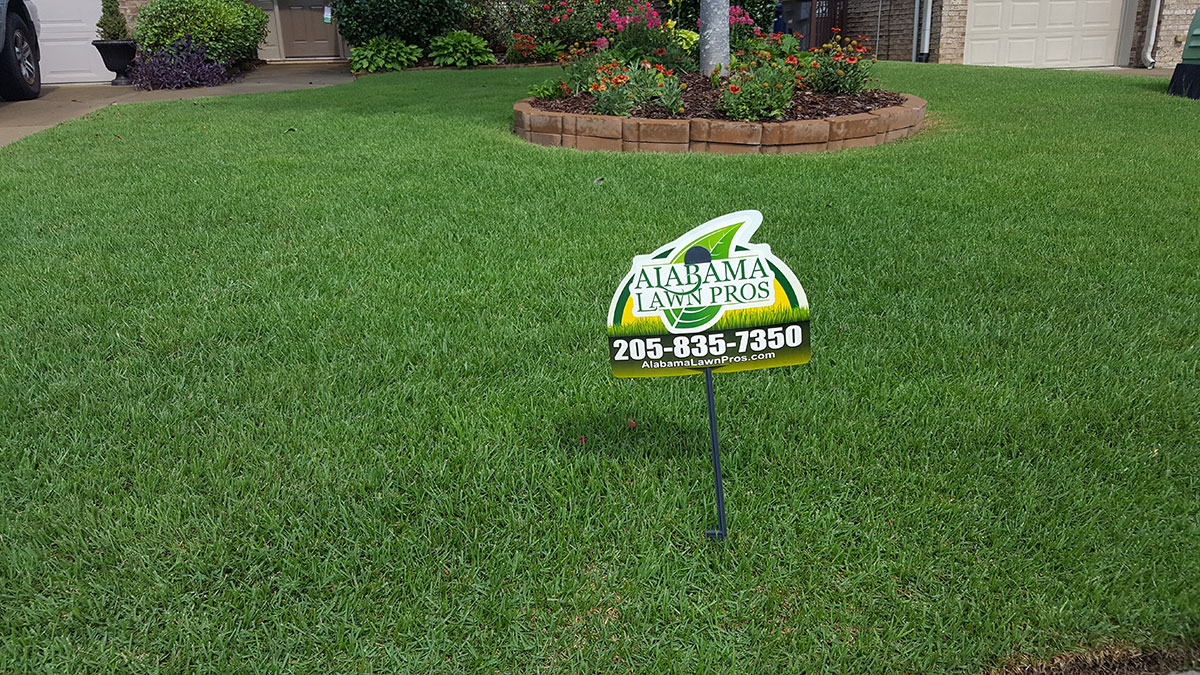 Lawn Feeding 101: Why Your Lawn’s Diet Should Be as Individual as You Are