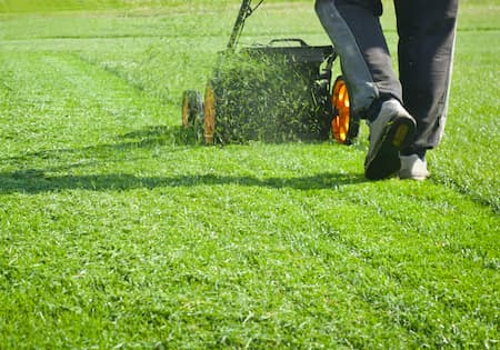 Steps Toward A Great-Looking Lawn