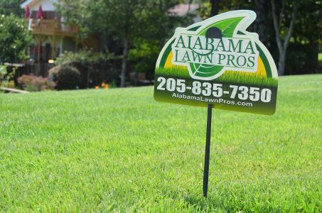 When is the best time of year to start a lawn fertilization program