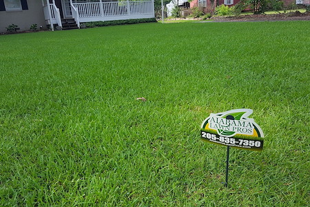 Why is lawn fertilization important for thick green grass
